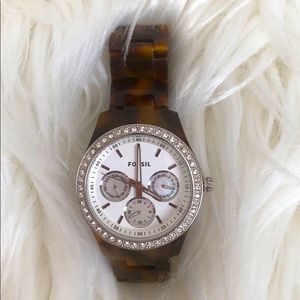 Tortoise Fossil Watch